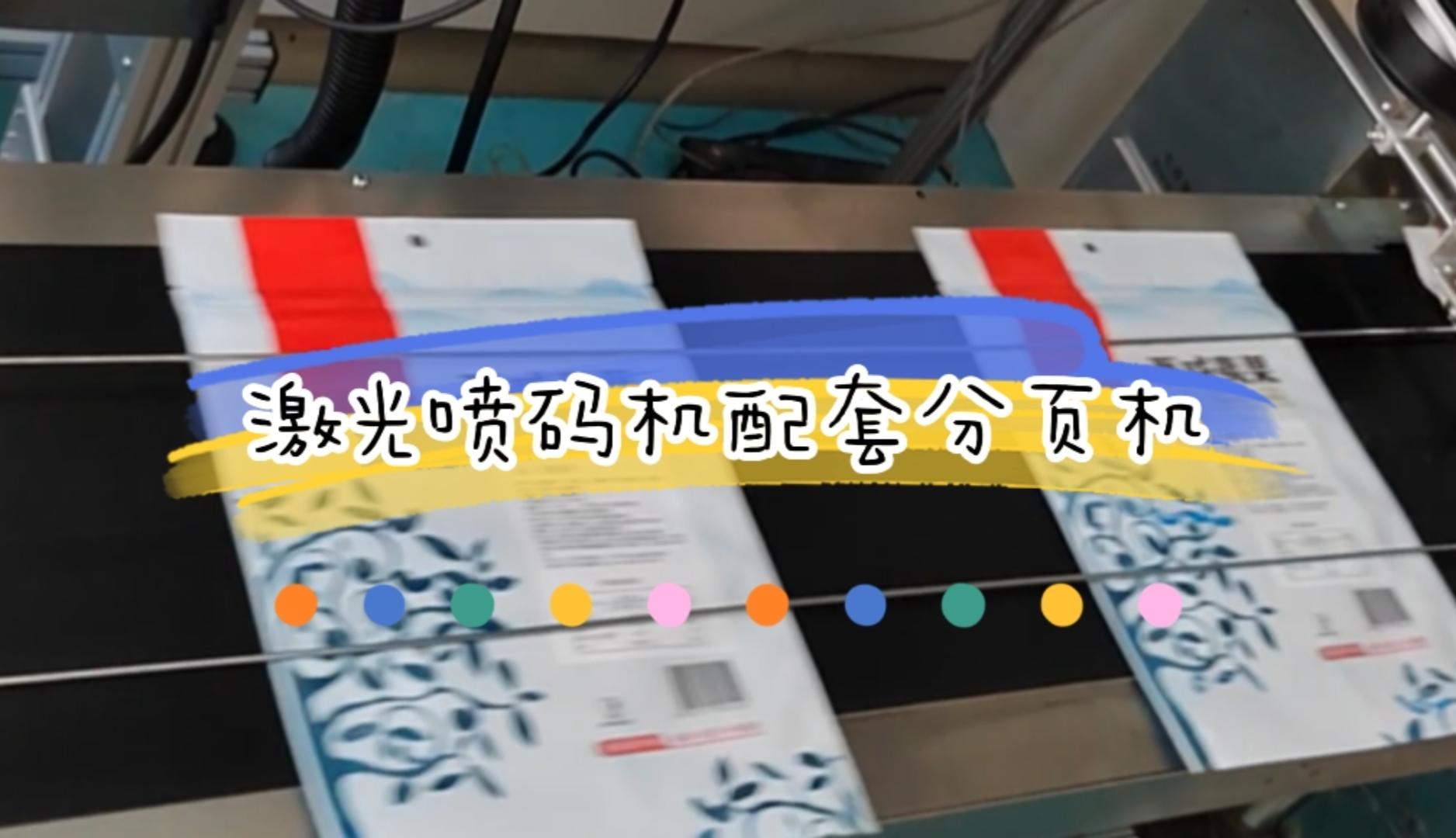 分页机激光喷码机应用实例